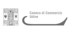 camera-commercio-udine_bn